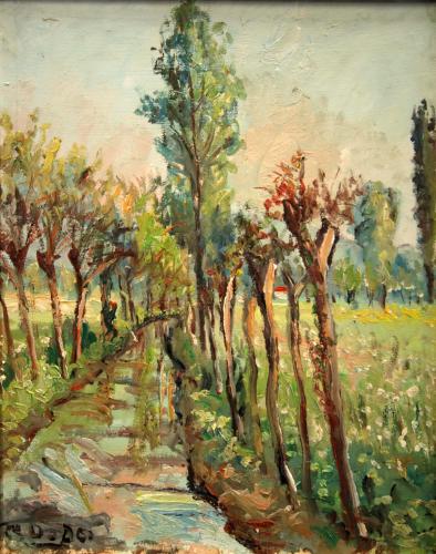 Ruscello in pianura (autunno)- 45,5x36,5- Olio- Anni '50[0842]