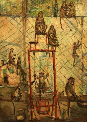 I babbuini allo zoo del castello- 70x50- Olio- Anni '60[0874]